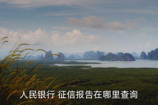 人民銀行 征信報告在哪里查詢