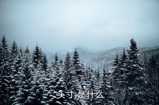  頭寸,是什么