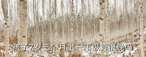 孩子7歲三個月上一年級算很晚嗎
