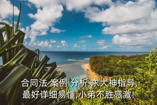  合同法 案例 分析,求大神指導(dǎo),最好詳細(xì)易懂,小弟不勝感激!
