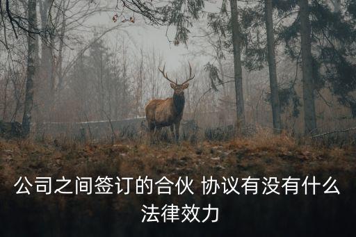 公司之間簽訂的合伙 協(xié)議有沒有什么 法律效力