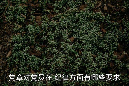 紀律要求,工作紀律要求
