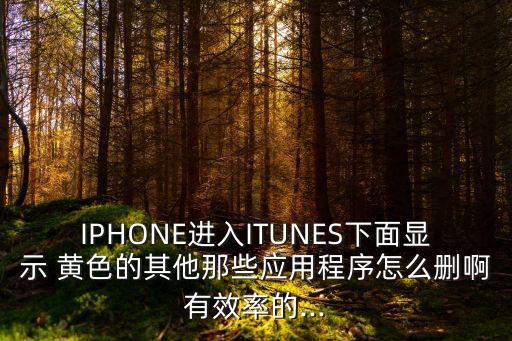 IPHONE進(jìn)入ITUNES下面顯示 黃色的其他那些應(yīng)用程序怎么刪啊有效率的...