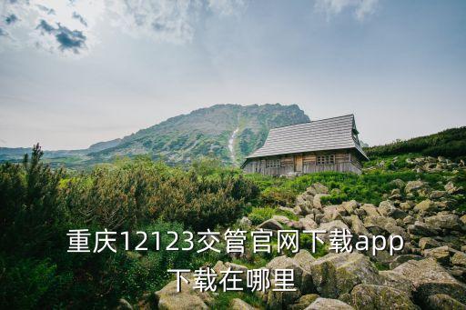 重慶違章查詢