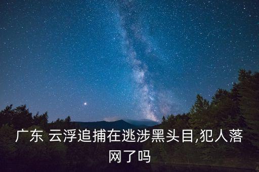 廣東 云浮追捕在逃涉黑頭目,犯人落網(wǎng)了嗎