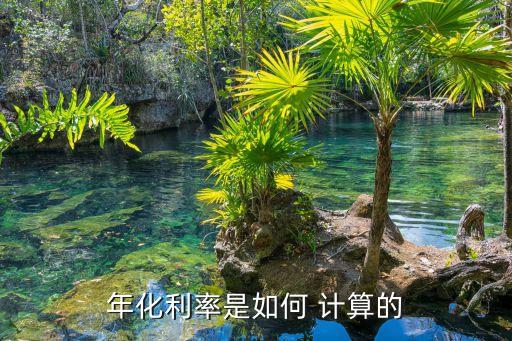 年化利率是如何 計(jì)算的