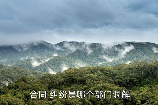 合同糾紛找哪個單位,有很多合同糾紛的單位能去上班嗎