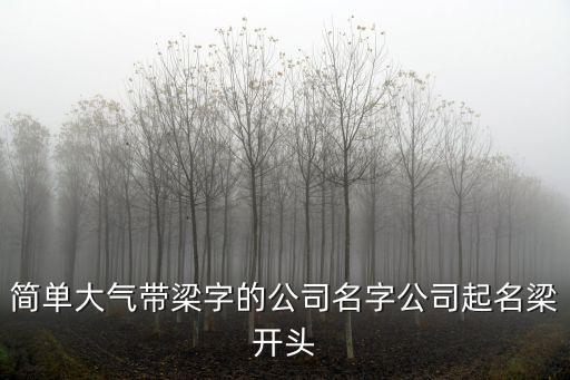 簡單大氣帶梁字的公司名字公司起名梁開頭