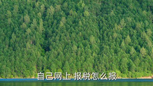 自己網(wǎng)上 報稅怎么報