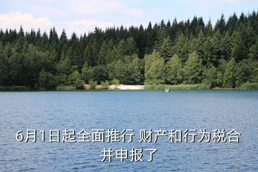 6月1日起全面推行 財(cái)產(chǎn)和行為稅合并申報(bào)了