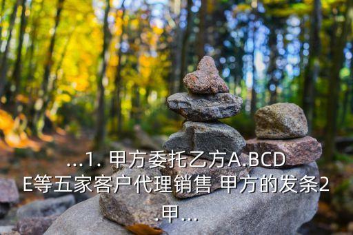 甲方的英語,甲方英語agency