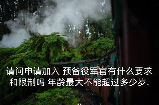 請問申請加入 預(yù)備役軍官有什么要求和限制嗎 年齡最大不能超過多少歲...