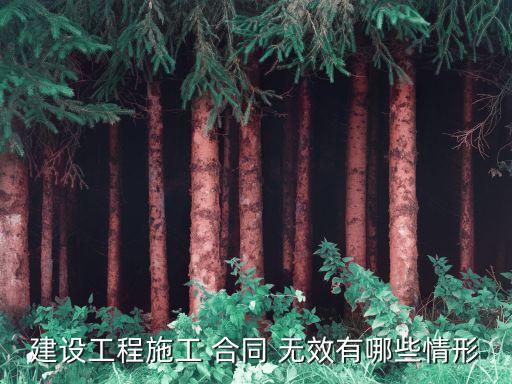 建設(shè)工程施工 合同 無效有哪些情形