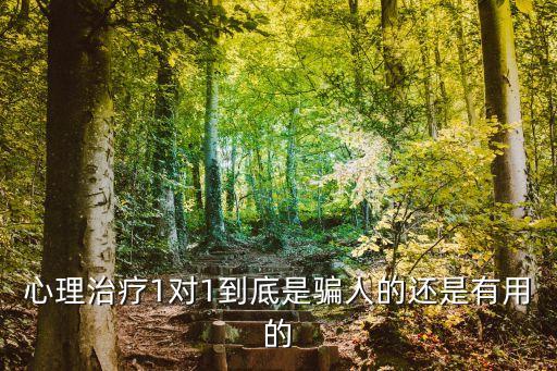 心理治療1對(duì)1到底是騙人的還是有用的