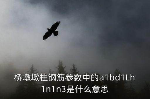 橋墩墩柱鋼筋參數(shù)中的a1bd1Lh1n1n3是什么意思