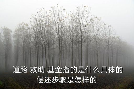 道路救助基金