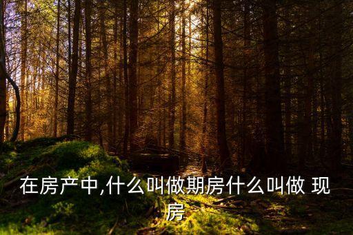 現(xiàn)房是什么意思,商品住房現(xiàn)房是什么意思
