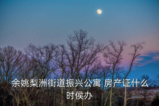 余姚梨洲街道振興公寓 房產(chǎn)證什么時(shí)侯辦