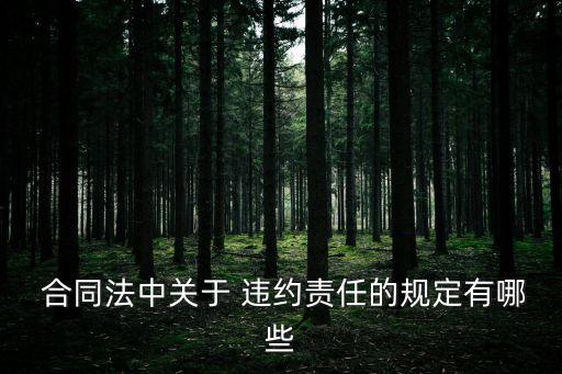  合同法中關(guān)于 違約責任的規(guī)定有哪些