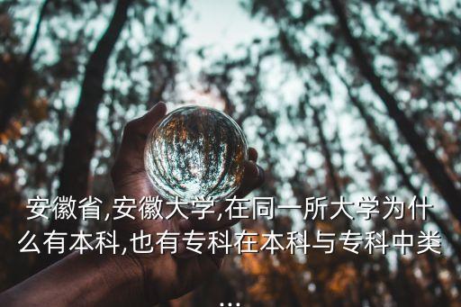 安徽省,安徽大學(xué),在同一所大學(xué)為什么有本科,也有專(zhuān)科在本科與專(zhuān)科中類(lèi)...
