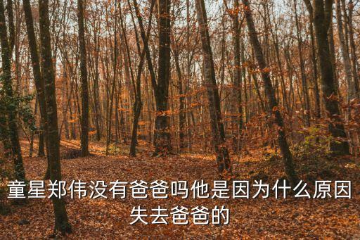 童星鄭偉沒有爸爸嗎他是因為什么原因失去爸爸的