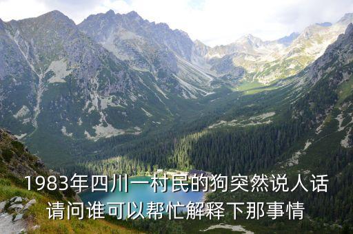 楊豆豆