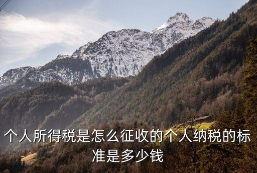 個(gè)人所得稅是怎么征收的個(gè)人納稅的標(biāo)準(zhǔn)是多少錢