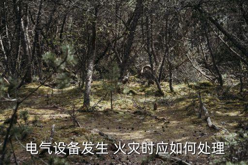 電氣火災(zāi)
