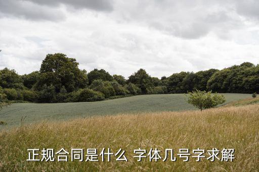  正規(guī)合同是什么 字體幾號字求解