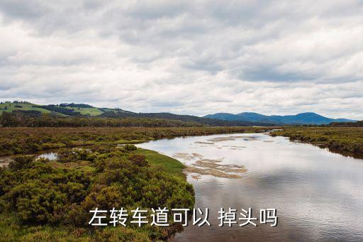 左轉(zhuǎn)可以掉頭嗎,紅綠燈路口左轉(zhuǎn)可以掉頭嗎