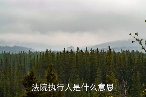 法院執(zhí)行人是什么意思