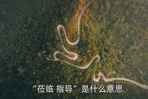 “蒞臨 指導(dǎo)”是什么意思
