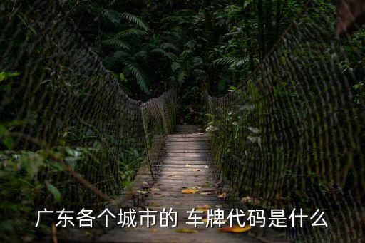 廣東各個城市的 車牌代碼是什么