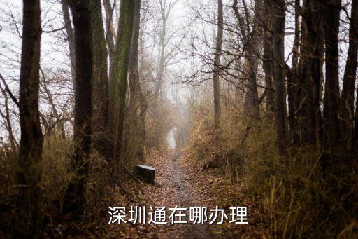 深圳市發(fā)展銀行