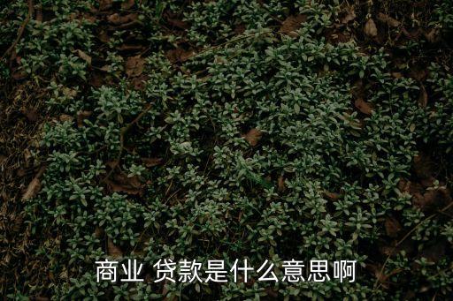 商業(yè) 貸款是什么意思啊
