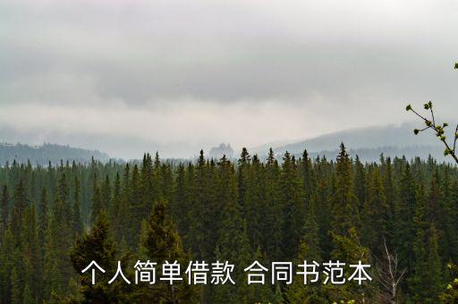 個人簡單借款 合同書范本