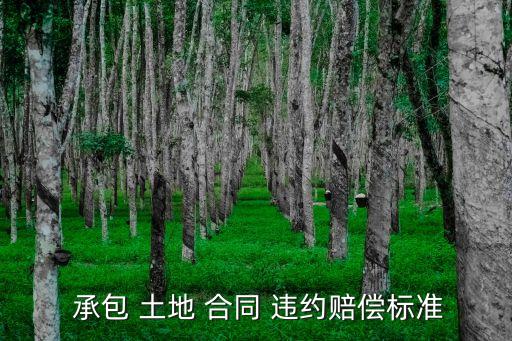  承包 土地 合同 違約賠償標(biāo)準(zhǔn)