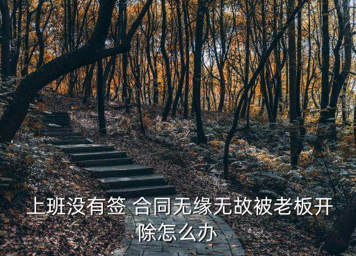  上班沒有簽 合同無緣無故被老板開除怎么辦