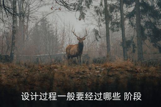  設(shè)計(jì)過程一般要經(jīng)過哪些 階段