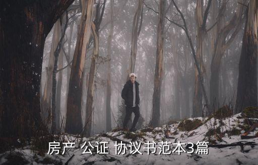 公證財產(chǎn)協(xié)議書怎樣寫,財產(chǎn)公證后離婚對方還能分財產(chǎn)嗎