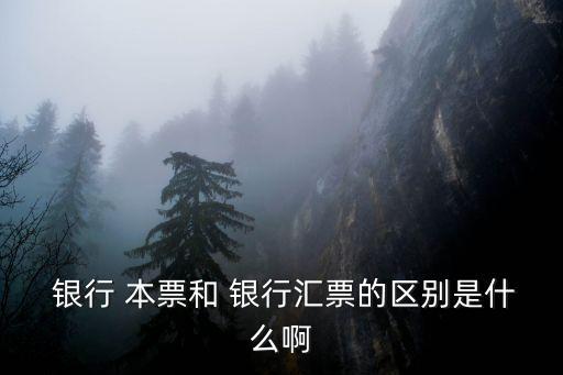  銀行 本票和 銀行匯票的區(qū)別是什么啊