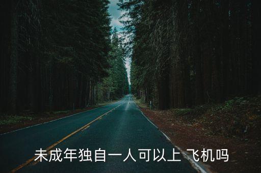 未成年坐飛機