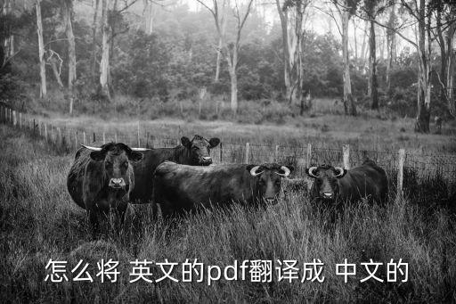 怎么將 英文的pdf翻譯成 中文的
