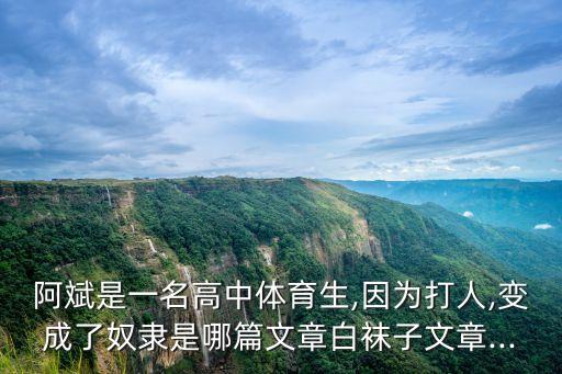 阿斌是一名高中體育生,因為打人,變成了奴隸是哪篇文章白襪子文章...