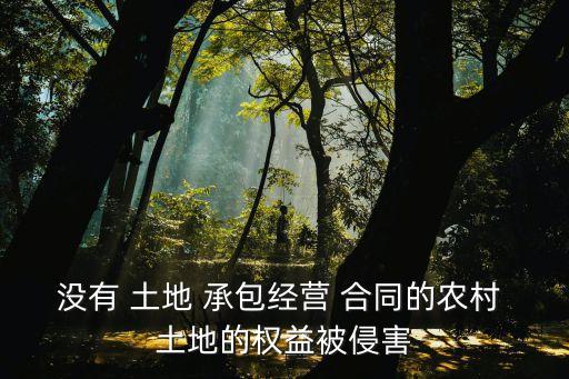 沒有 土地 承包經(jīng)營 合同的農(nóng)村 土地的權(quán)益被侵害