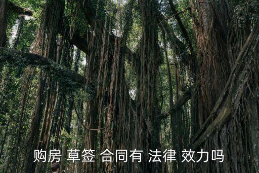 購房 草簽 合同有 法律 效力嗎