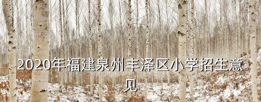 2020年福建泉州豐澤區(qū)小學(xué)招生意見