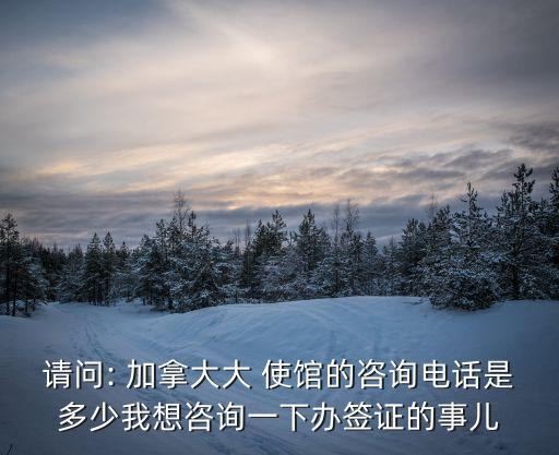 請問: 加拿大大 使館的咨詢電話是多少我想咨詢一下辦簽證的事兒