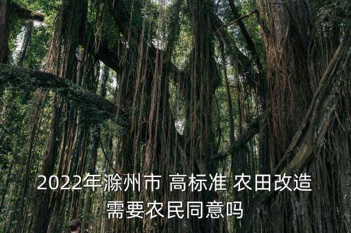 2022年滁州市 高標(biāo)準(zhǔn) 農(nóng)田改造需要農(nóng)民同意嗎