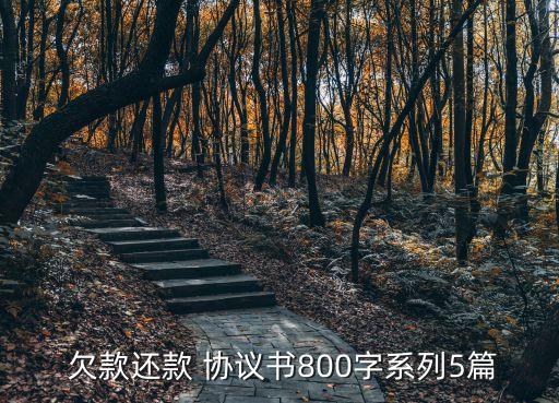  欠款還款 協(xié)議書800字系列5篇